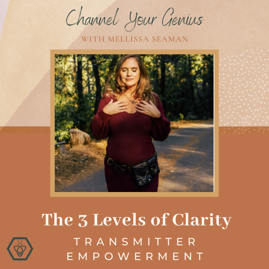 Transmitter Empowerment: The 3 Levels of Clarity