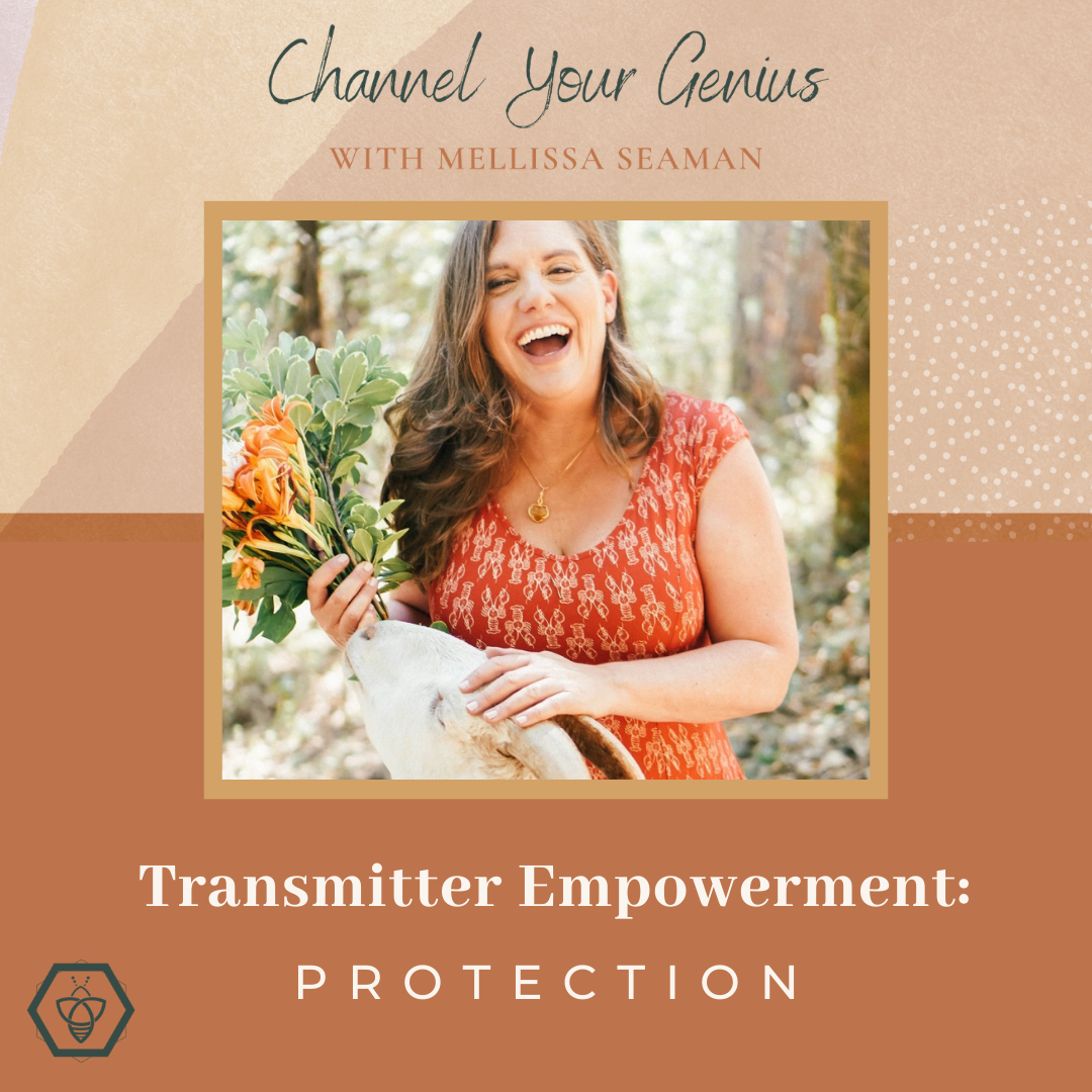 Transmitter Empowerment: Protection
