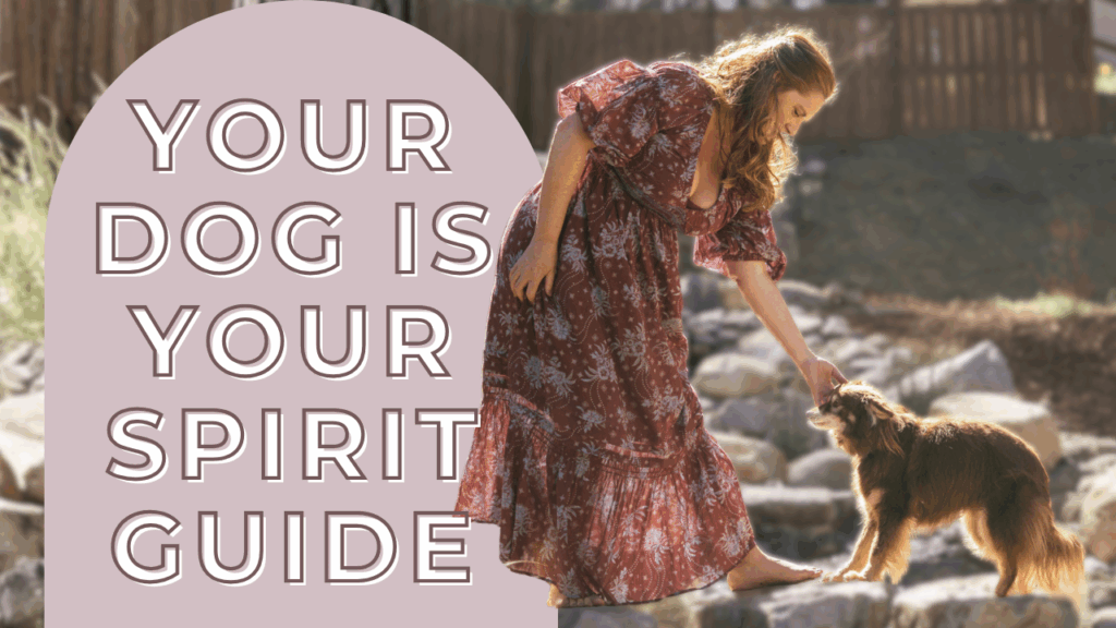 Why Your Dog Might Be Your Greatest Spiritual Teacher