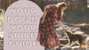 Why Your Dog Might Be Your Greatest Spiritual Teacher