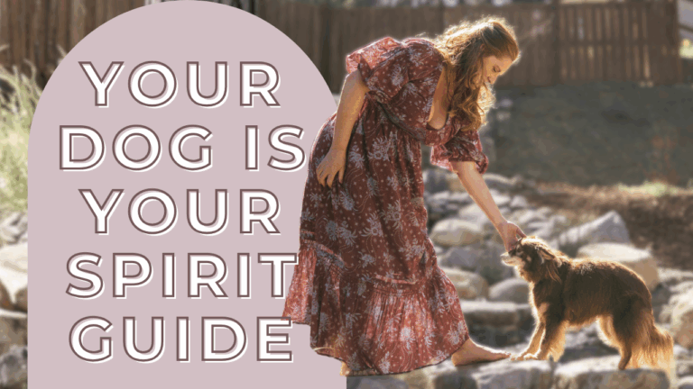 Why Your Dog Might Be Your Greatest Spiritual Teacher